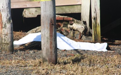 Body Washes Up In Broad Channel