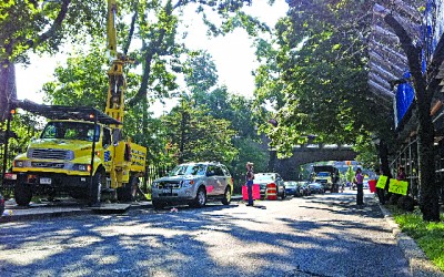 Forest Hill Residents Slam LIRR For Tree Removal