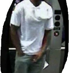 Police Search for A Train Robbery Suspect
