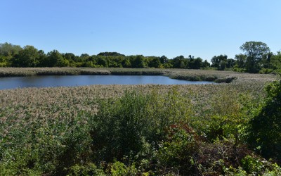 Ridgewood Reservoir Improvements Open To Public