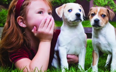 Pairing Kids With Pets – Safety tips to protect youngsters and pets