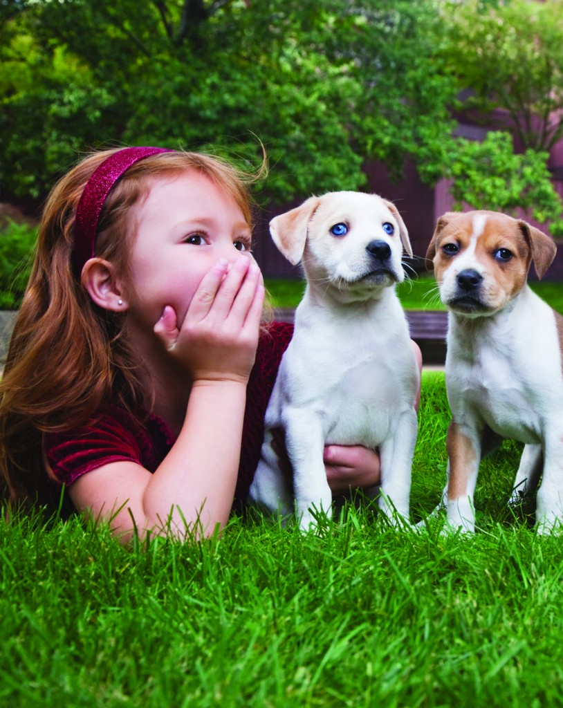 Kids and pets will develop a stronger bond if they learn to respect each other's space. 