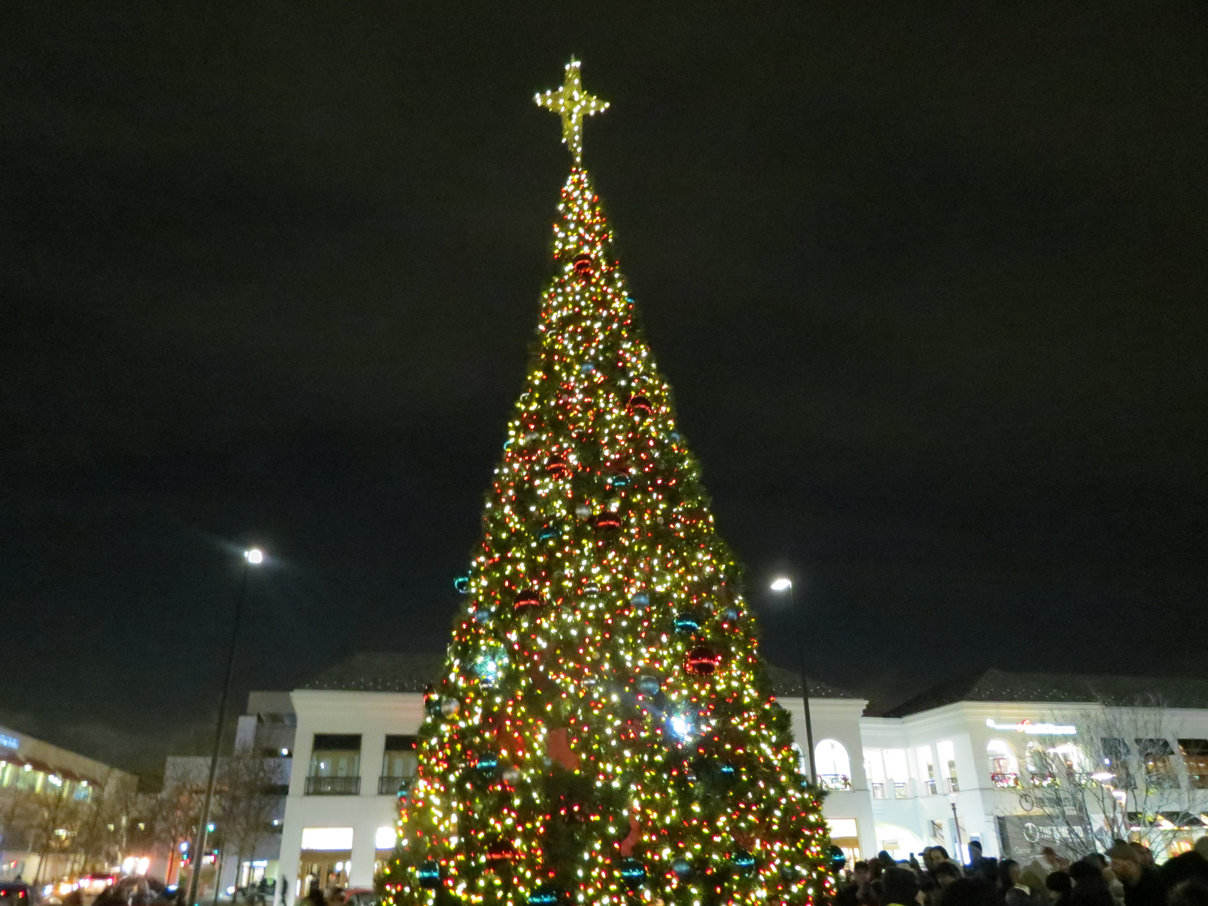 Families from throughout Queens gathered to watch as the Christmas tree in Atlas Park was lit Saturday evening.