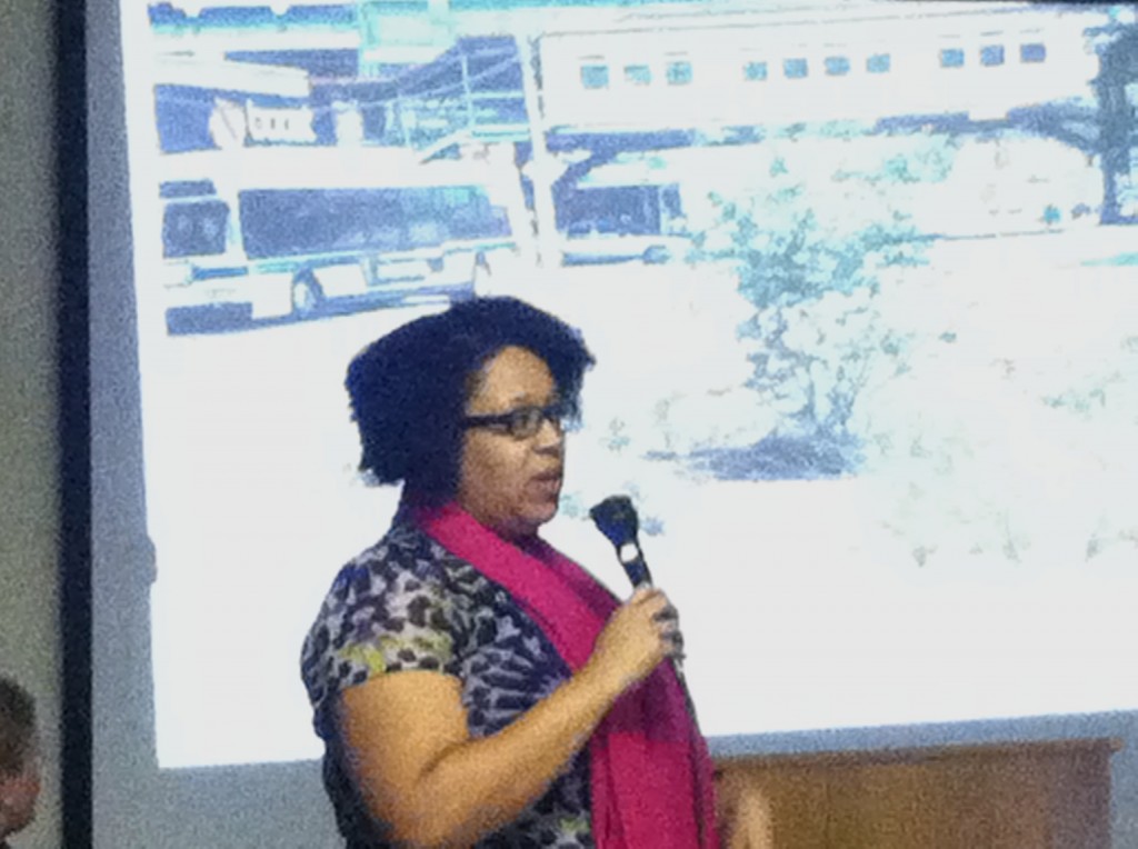 Mikelle Adgate, a project manager at the city Department of Environmental Protection, presented information about bioswales at last week's Community Board 6 meeting.