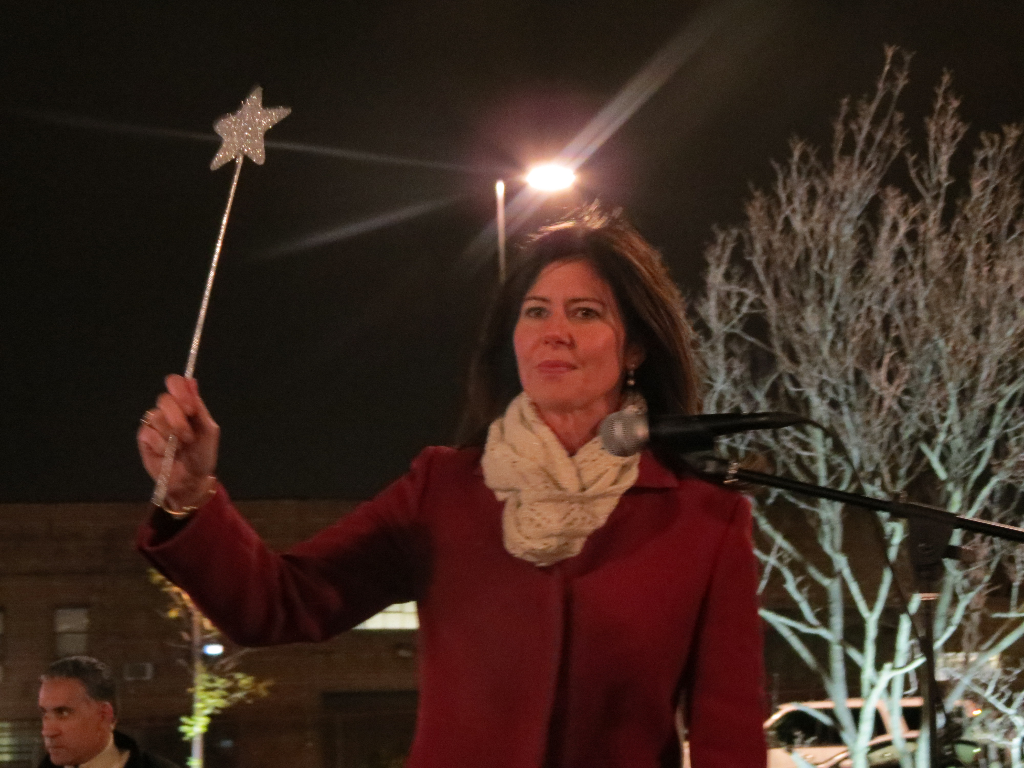 Councilwoman Elizabeth Crowley wished the crowd a happy holiday season at the tree lighting ceremony.