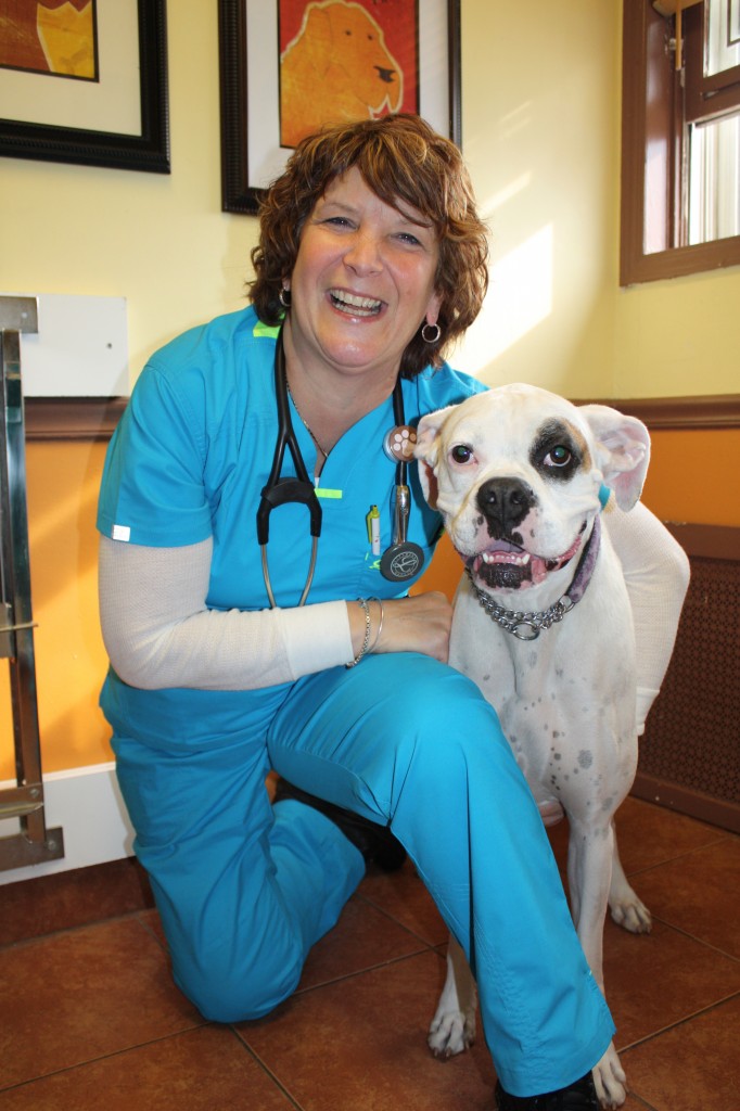 This series is sponsored by Dr. Theresa Paoloni and the staff at Veterinary Care Unlimited. 