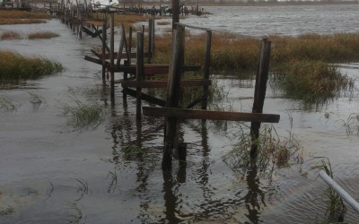 Creating A More Flood-Resistant Jamaica Bay