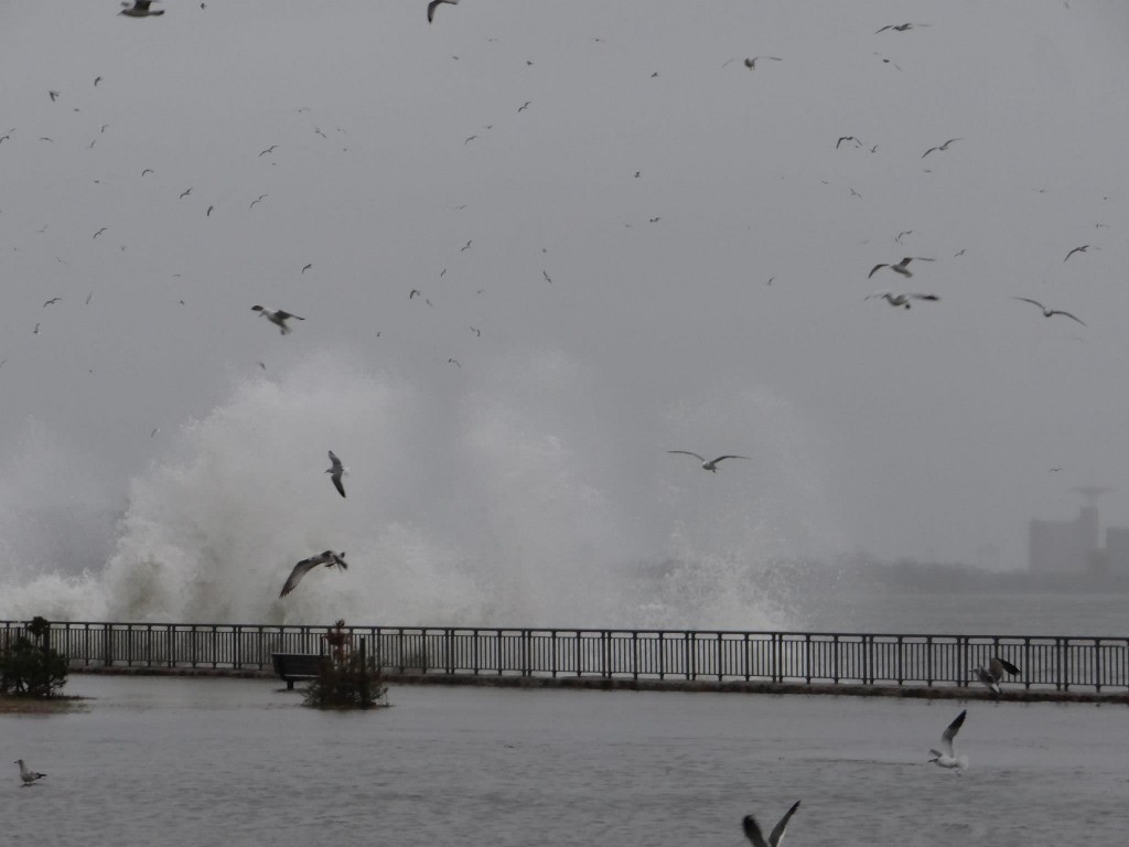 Waves dramatically crash against the shore as the storm wreaked havoc on the city.