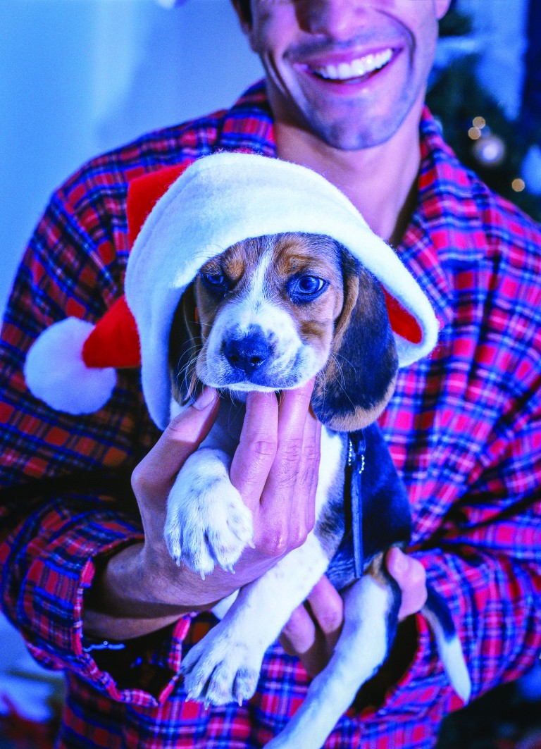 Pets As Presents–Look Before You Leap