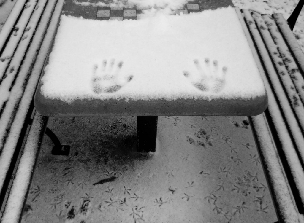 Forest Hills - Hands In Snow On Chess Table In Park - Best Newspaper Version - Dec 2013 - Joe Abate