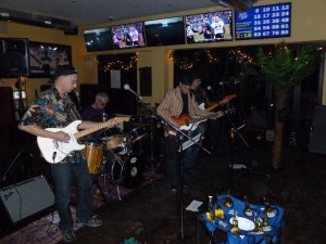 The band Strange but Surf entertains the crowd at a fundraiser for Friends of Rockaway at O'Neill's last Saturday night.   Photo by Phil Corso