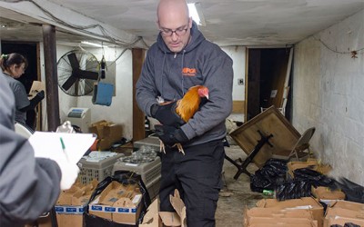 Following Woodhaven raid, officials announce largest cockfighting bust in state history