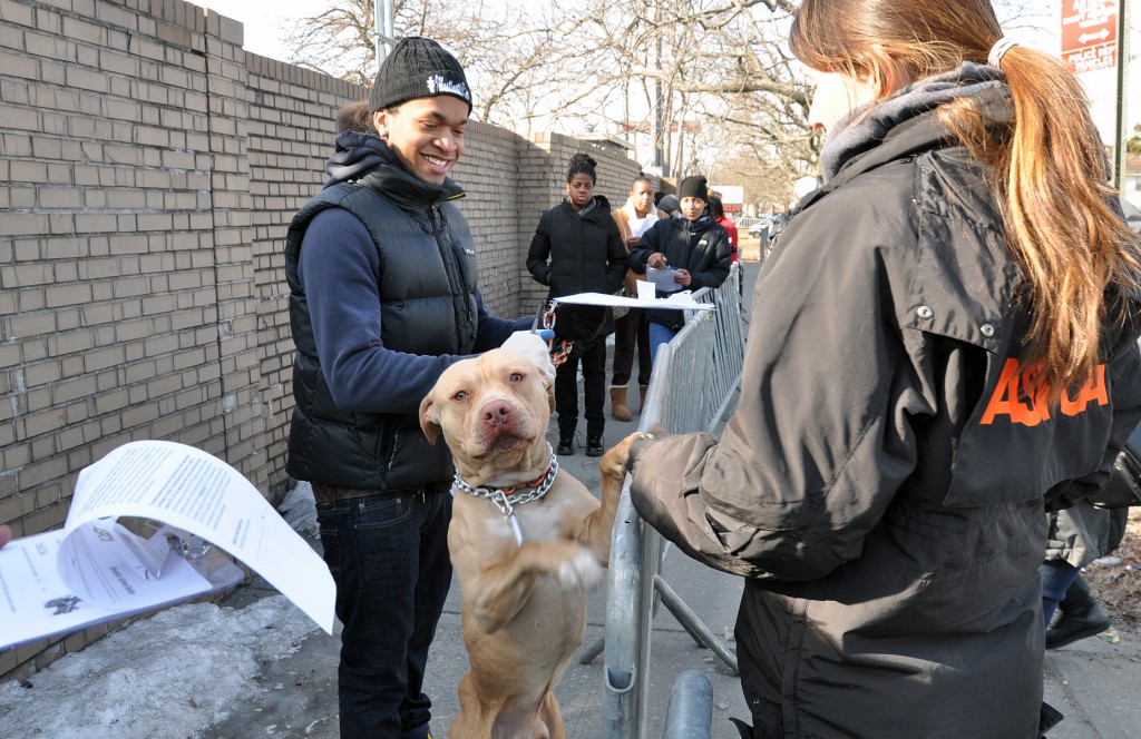  Butter waits in line with his owner, Kendall Hawkins, of Jamaica, to receive a free dog house.  Photo courtesy ASPCA
