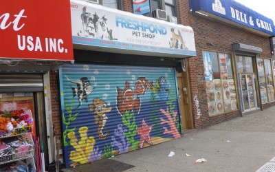 Fresh Pond Pet Shop Accused of Neglect