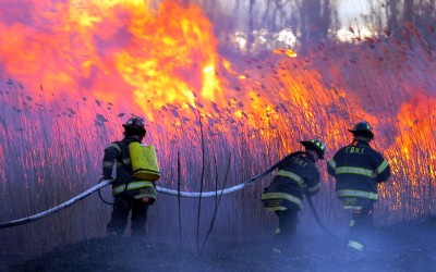 Howard Beach brush fire breaks out near Spring Creek; more than 100 firefighters battle blaze