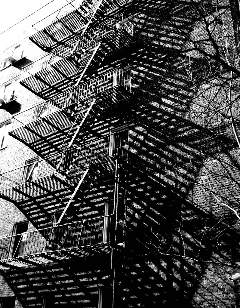 FOREST hills - The Illusion of Escape - For Publication Consideration - Image Three - 314 - Joe Abate