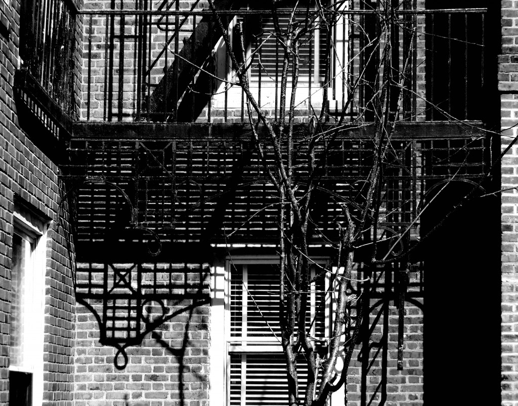 Forest Hills - Shadows on Iron Works - For Publication Consideration - Image Five - 314 - Joe Abate