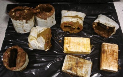 Frozen Goat Meat Leads to Cocaine Bust at JFK: Feds