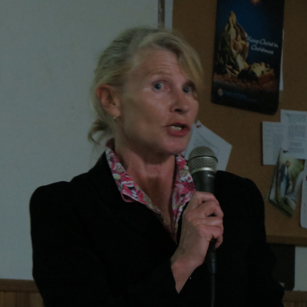 Joanna Field, a biologist with the state Department of Environmental Conservation, presented information about the proposed Spring Creek project in Howard Beach at last week's Community Board 10 meeting.  Photo by Anna Gustafson
