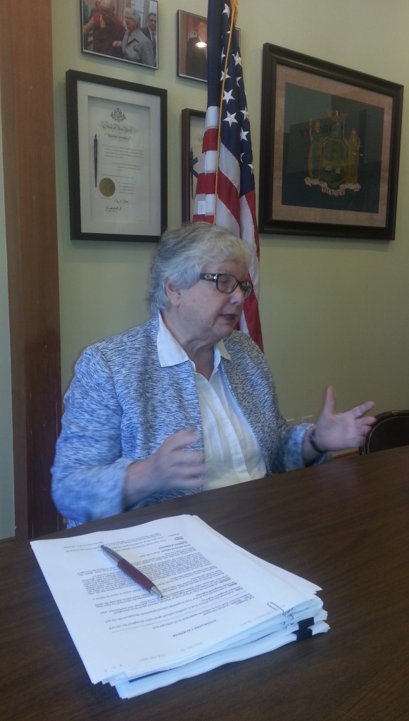 State Senator Toby Stavisky hosts a roundtable discussion in her Flushing office. Photo by Debbie Cohen