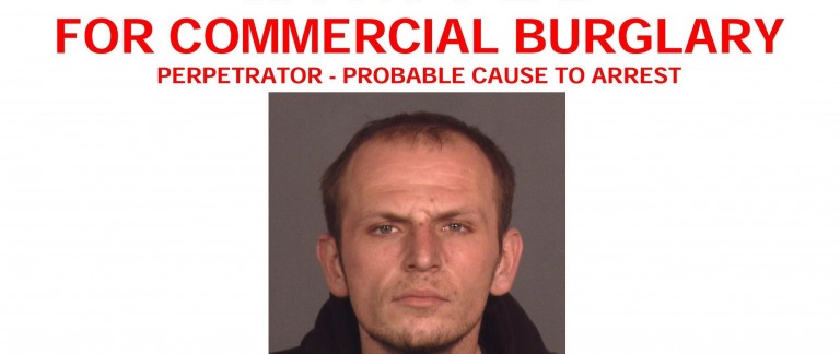 Cops Hunt Suspect Allegedly Tied to Commercial Burglaries; Auto Offenses Drive up Crime Statistics in 106th Precinct
