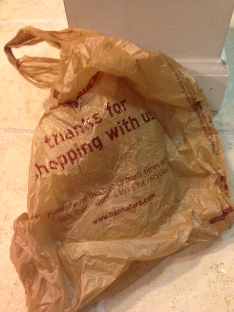 Most New Yorkers Oppose Plastic Bag Fee: Poll