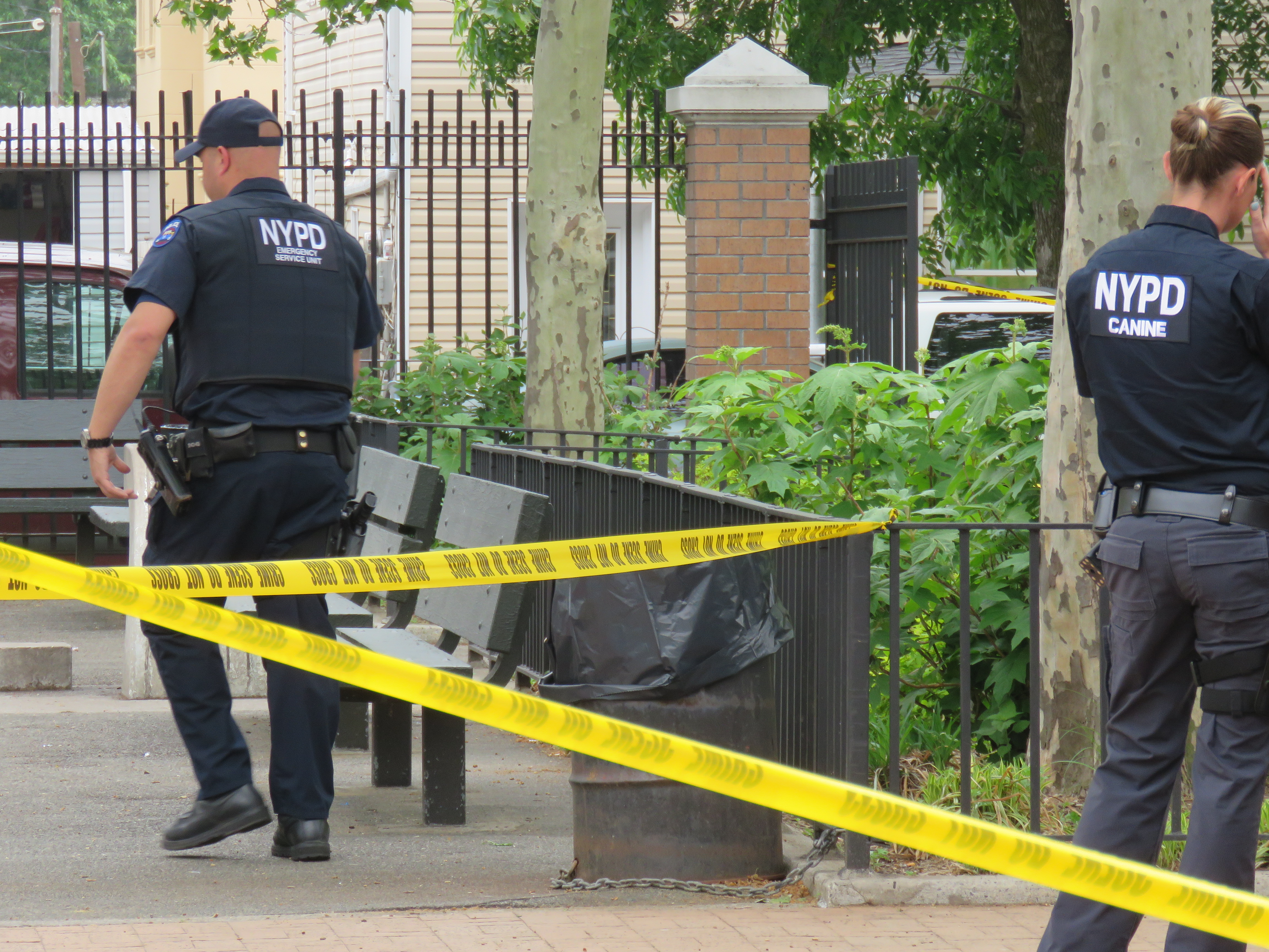 Cops last week searched for evidence and clues inside London Planetree Playground after a teen boy was stabbed in the park in a gang attack. They have one suspect in custody. Forum Photo by Robert Stridiron.