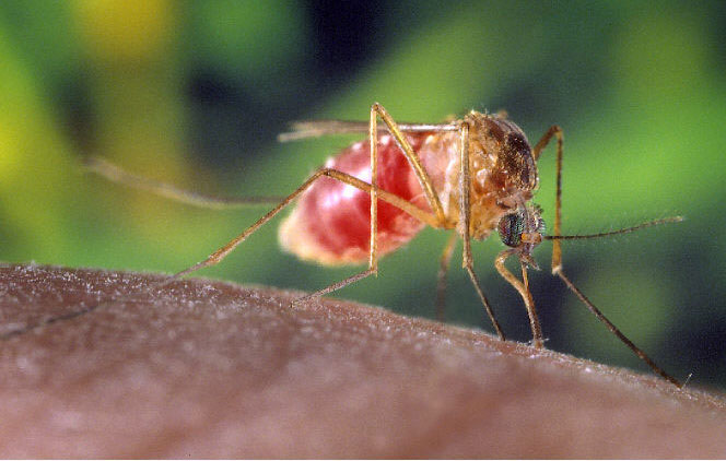 Pol Calls for West Nile Spray in Three Area Communities