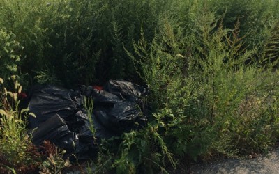 Forum Fix: With Help of Sanitation Dept., Your Community Newspaper Rescues Reader from Howard Beach Eyesore