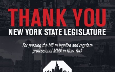 Assembly Vote Knocks out Ban on Professional Mixed Martial Arts