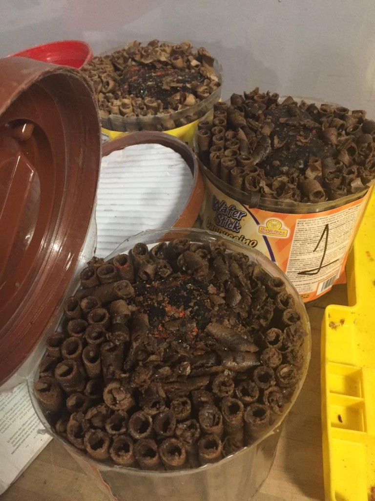 Customs Catches Cocaine in Candy Containers at JFK