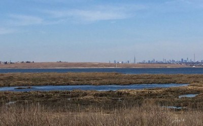 Researchers Urge Jamaica Bay Area Residents to Complete Flood-Protection Survey