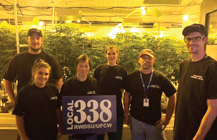 Retail Workers Union, Medical Marijuana Manufacturer Ratify Historic Contract           