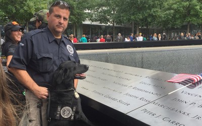 Veteran JFK Airport Explosives-Detection Dog  Retires from Service. TSA’s ‘Ssiller’ named in honor of hero Brooklyn firefighter