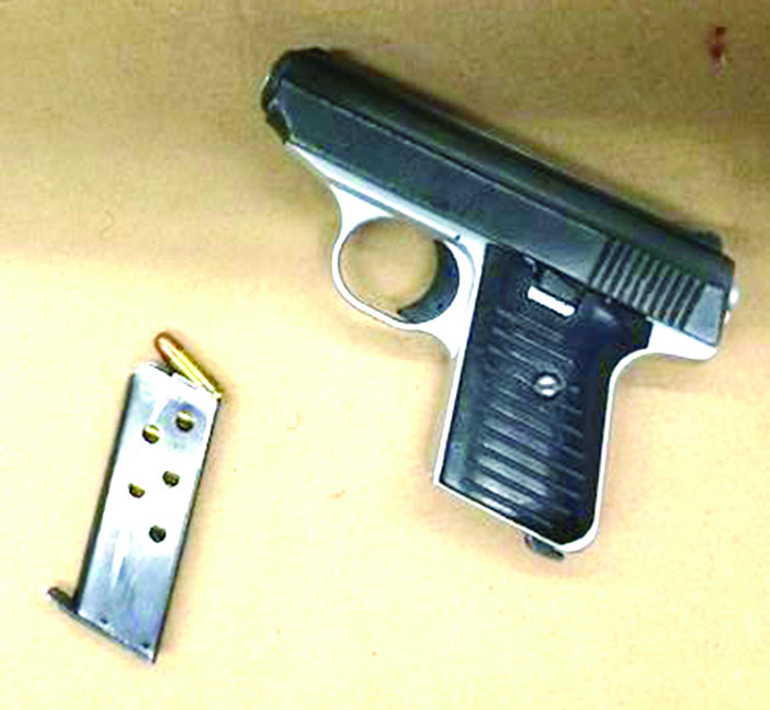 Brooklyn Man Pleads Guilty  to Bringing  Loaded Gun to JFK Airport