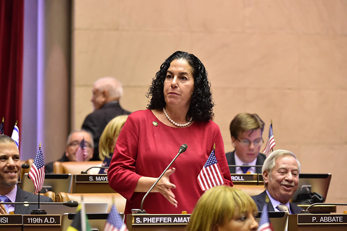 Pheffer Amato Selected to Serve on Assembly  Committees on Racing & Wagering and Veterans Affairs