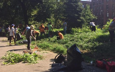 NYC Residents Volunteering at a High Rate: Study