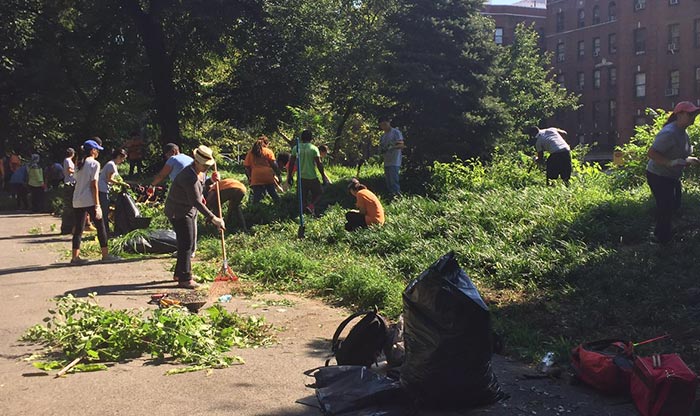 NYC Residents Volunteering at a High Rate: Study
