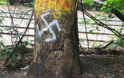 Hate Graffiti Found in Forest Park