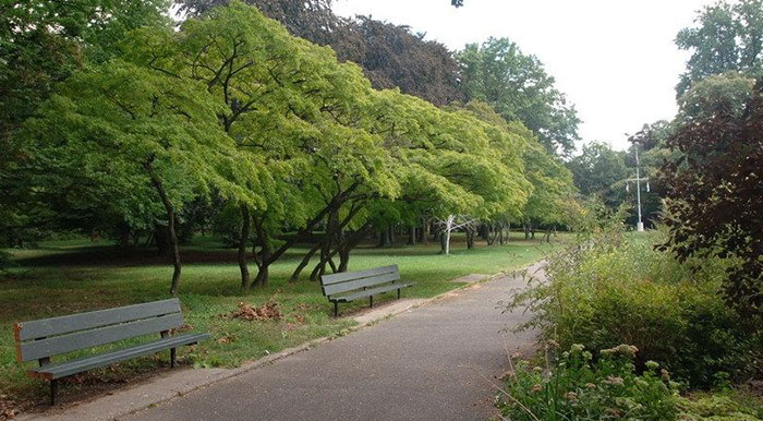 Police Search Kissena Park for Two Bodies: Reports