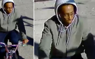Thief Swipes Cell Phone from Vic’s Hand  in South Richmond Hill