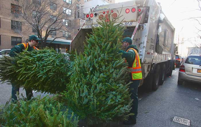 ‘Tree-Cycle’ with City Parks at MulchFest 2018