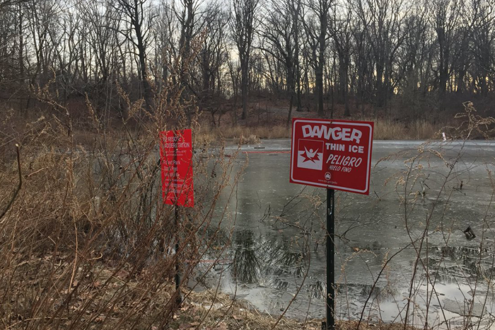 Glendale Boy, 11, Dies  after Falling through  Ice  at Pond in Forest Park