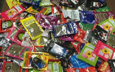 NY Issues Synthetic Marijuana Advisory  after Life-Threatening Cases in Other States
