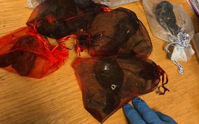 JFK Passenger Caught Trying to Smuggle Live Birds
