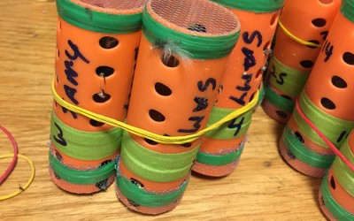 Feds Find 70 Live Finches in JFK Passenger’s Bag