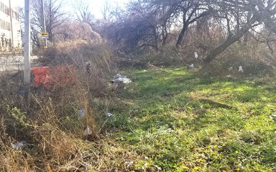 Ozone Park Civic Decries Unkempt Areas Rife with  Evidence of Illegal Dumping