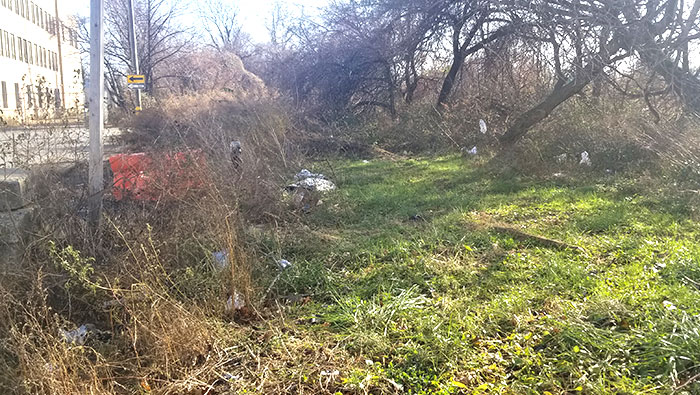 Ozone Park Civic Decries Unkempt Areas Rife with  Evidence of Illegal Dumping