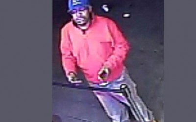 Cops Search for South Ozone Park Car Thief