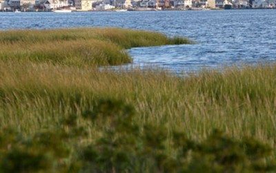 Bill Extends Protection of Jamaica Bay
